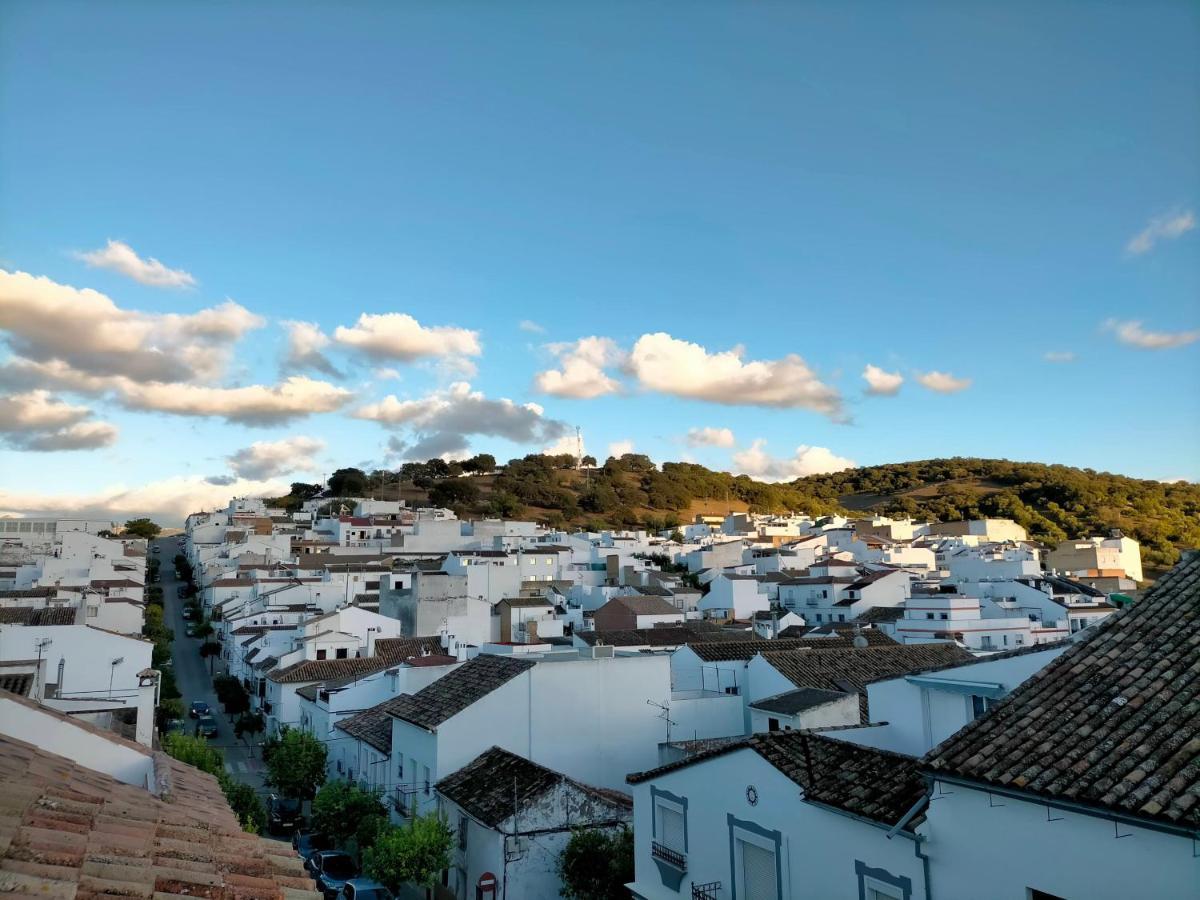 Jacaranda Villa Prado del Rey Kültér fotó